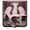 AZS托伦