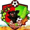 屯昌队